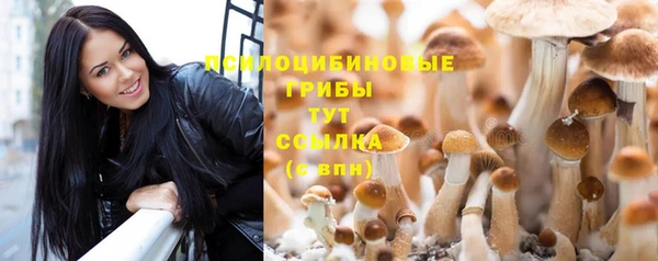 ECSTASY Алзамай