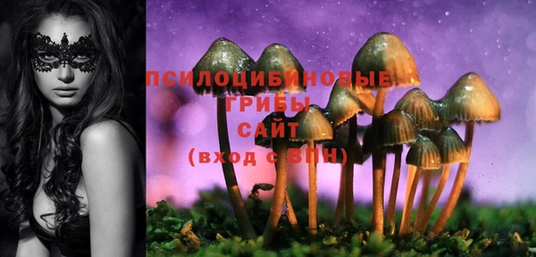 соль курить ск Алексеевка