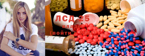 ECSTASY Алзамай