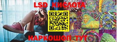 PSILOCYBIN Донской