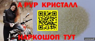 PSILOCYBIN Донской