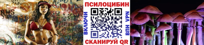 Галлюциногенные грибы GOLDEN TEACHER купить закладку Кириши