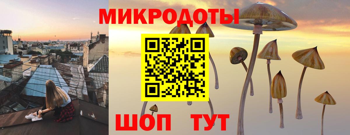 Галлюциногенные грибы прущие грибы  Вход с VPN  Галлюциногенные грибы ЛСД  Кириши 